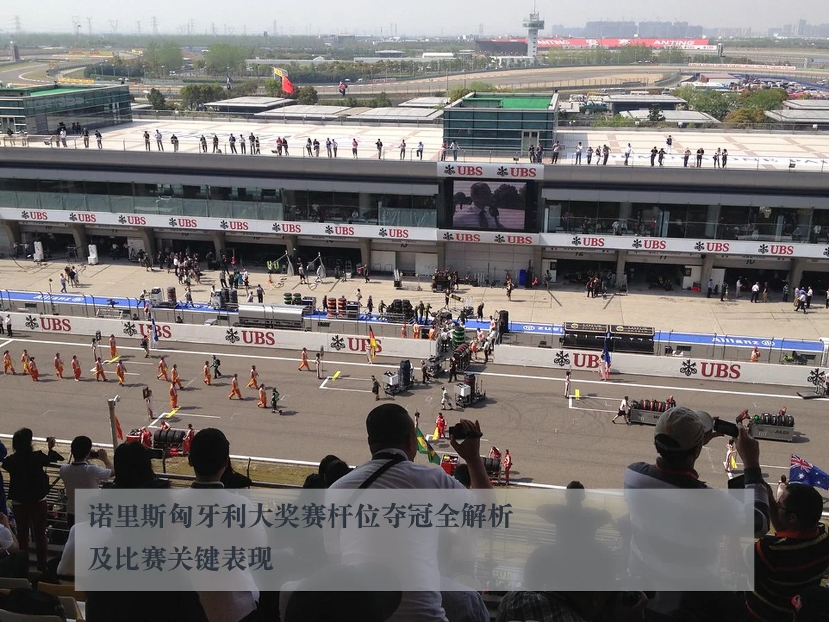 诺里斯匈牙利大奖赛杆位夺冠全解析及比赛关键表现